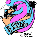 The Crazy Flamingo Profile Photo
